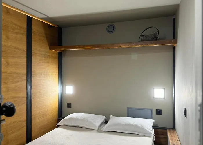 Swed Cab Embassy 旅馆 *